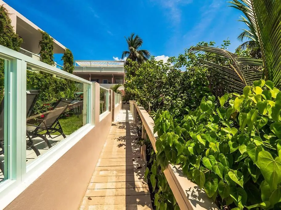 Palm Del Mar - 2 Beach Front Villas Combined - 14 Bedrooms Loiza 0*,  Porto Rico