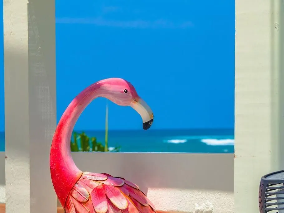 Palm Del Mar - 2 Beach Front Villas Combined - 14 Bedrooms Loiza Porto Rico