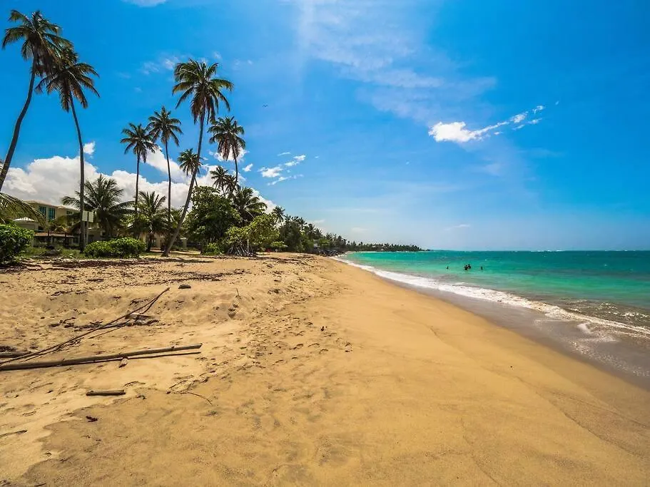 Palm Del Mar - 2 Beach Front Villas Combined - 14 Bedrooms Loiza
